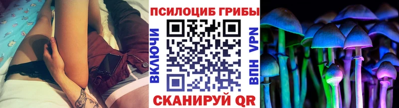 Галлюциногенные грибы GOLDEN TEACHER  Судогда 