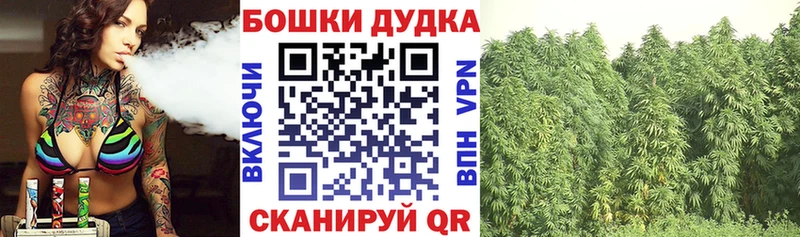 hydra tor  shop официальный сайт  Шишки марихуана OG Kush  Судогда 